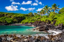 picturesque photo of maui with trees and water